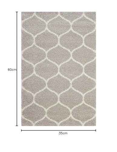 Image of Ultra-Soft Shaggy Carpet (4 X 6 FEET, Beige Ivory) Fluffy, Cozy & Durable Area Rug for Living Room, Bedroom & More ? Premium Modern Design