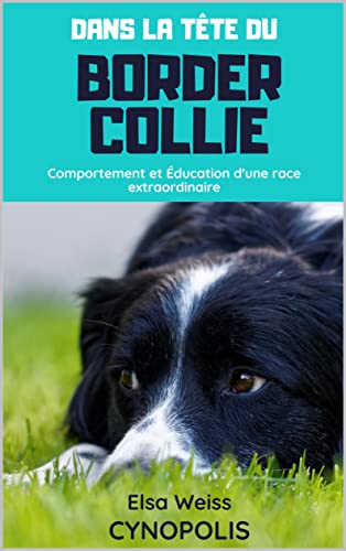 Dans la Tête du Border Collie: Comportement et Éducation d'une race extraordinaire (French Edition)