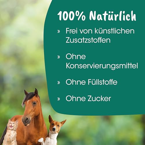 cdVet Naturprodukte FischSnack Beutel 250 g - Hund, Katze - Einzelfuttermittel - Belohnung - wertvolle Omega Fettsäuren - natürlich - luftgetrocknet - ohne Farbstoffe + Konservierungsstoffe -