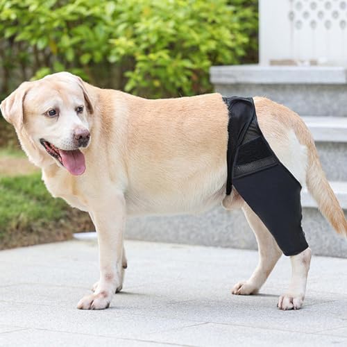 Teksome Hüftbandage für Hunde – Hüftbandage für Hunde, passt sich besser an die Beine des Hundes an | Hunde-Hüftgelenk-Bandage bietet Unterstützung und Komfort, ohne die Mobilität des Hundes zu