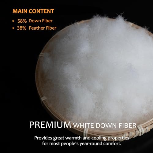 Hyvif DUVETS-K Luxury Feathers Down Comforter King Size - 750 Fill Power All Season Duvet Insert, Ultra-Soft Hotel Collection Comforter, Fluffy And Cozy thumb #2