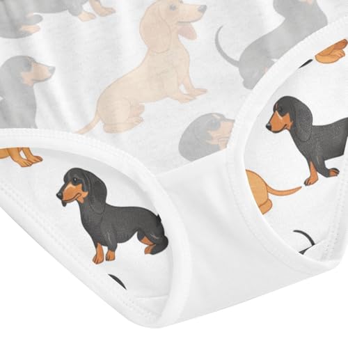 ZZKKO Dachshund Dogs Girls Underwear Toddler Panties for Girls Comfort Brief Size 2-8T4