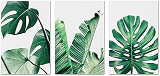 Green Leaf Botanical Wall Art - Plant Wall Decor for Bedroom Living Room Tropical Nature Canvas Pictures Succulent Monstera Banana Leaves Prints Home Bathroom Decorations Simple Life Painting Unframed