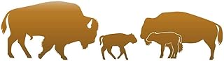 American Buffalo, Bison Family of Four 9 inch Copper Indoor Outdoor Vinyl Decal