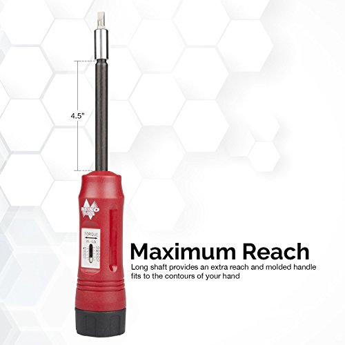 Neiko 10573B Torque Screwdriver Set 1/4