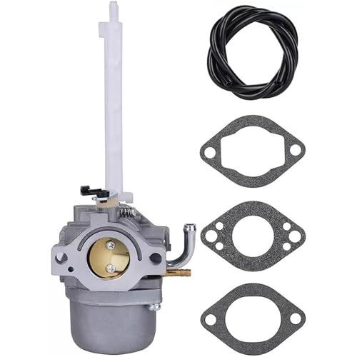 Carburateur Briggs & Stratton 796122 souffleuse à neige kit réparation 794593