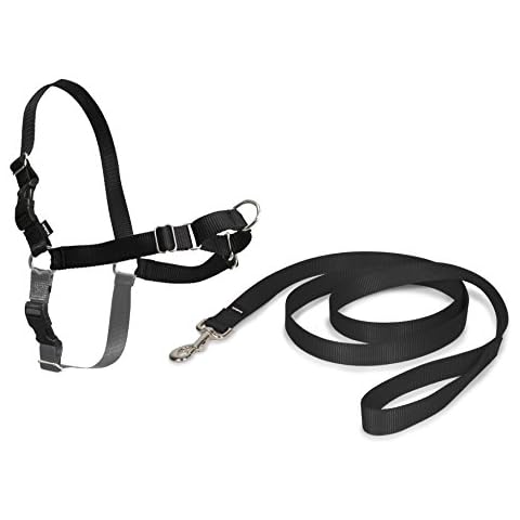 PetSafe Easy Walk Arnés Antitirones para Perros Cover