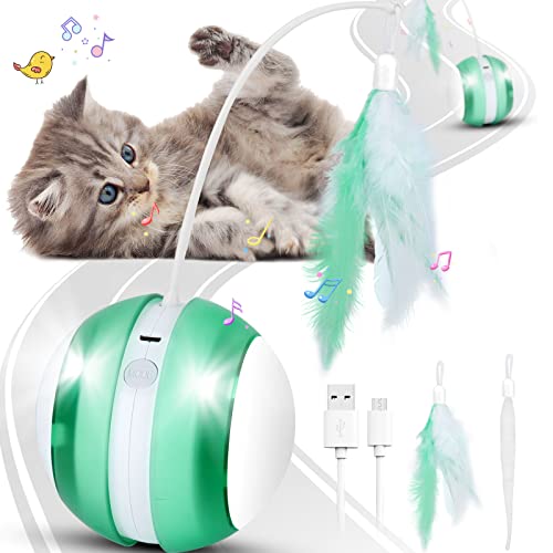 Jouet pour chat - Balle électrique avec lumière LED - Rotation automatique à 360 ° - Avec bruit d'oiseau - Chargement USB - Pour l'intérieur - Plume pour chat - Vert Cover