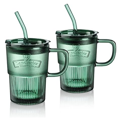 Joeyan 450ml Glass Cups with Lids and Straws Cover