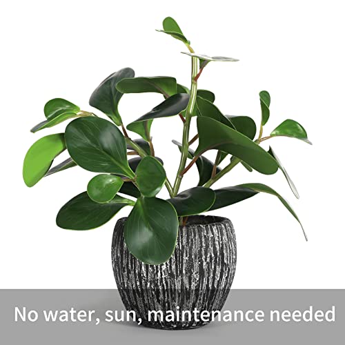 Lorydeco Artificial Potted Plants, Real Looking Fiddle Leaf Fake Plant With Pot, Plastic Watercress Leaves Small Faux Trees With Cement Planter, Greenery Plant Table Decor For Home Indoor #TOP4