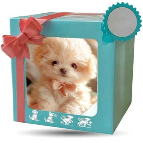 V^ {bg  X}[gAI{bg ^ ̍ō q {̌̂悤ɓ  i KU j̎q ̎q a NX}Xv[g