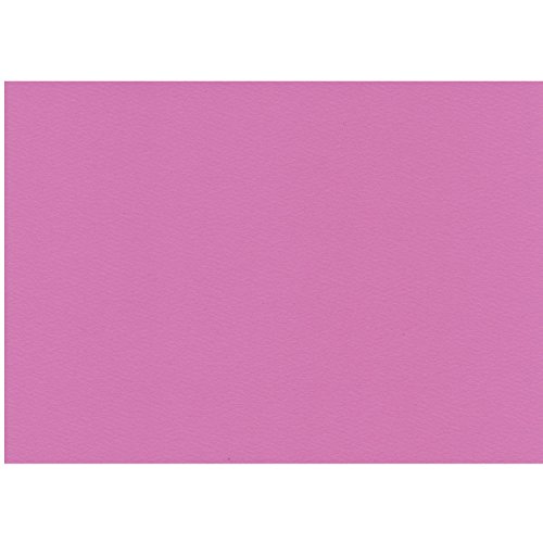 エスケント 色画用紙 スターウェーブ A4 フラミンゴ 100枚 5007805