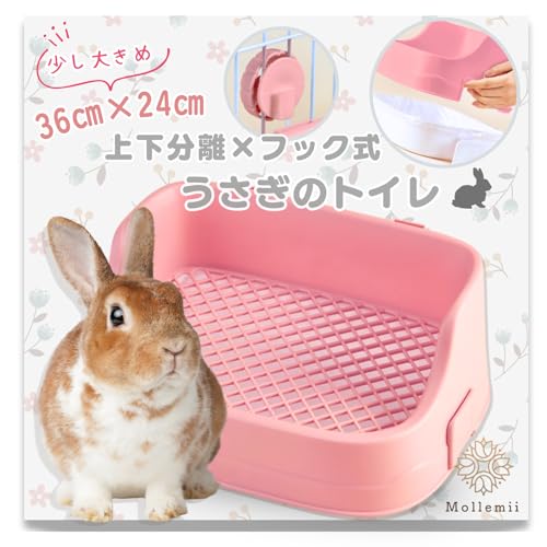 Mollemii  gC 36*24 ㉺ P[WŒ tbNO ܂ŃbV (sN)