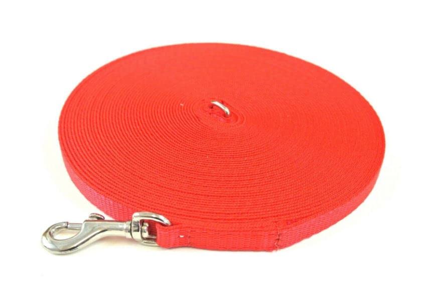 Dog Training Lead Small Dog Puppy Leash 100ft 30m Tracking Recall Obedience Strong 13mm Webbing (Red) โ image 1