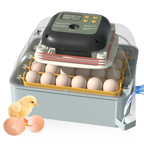 The 7 BEST Egg Incubators on Amazon【2024】