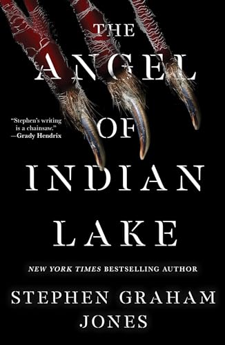 Cover of The Angel of Indian Lake