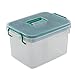 Lesbin Clear First Aid Box Organizer 2 Layers with Compartments, Plastic Handle Storage Box