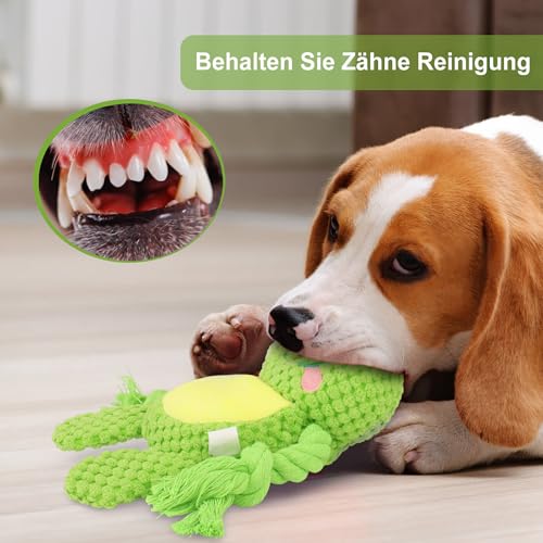 TONYFY Hundespielzeug, Hund Quietschspielzeug mit Knitterpapier, Plüschtier Hund Plüsch Kauspielzeug, Baumwollseil interaktives Spielzeug für Welpen, kleine, mittlere Hunde (Grüner Frosch)