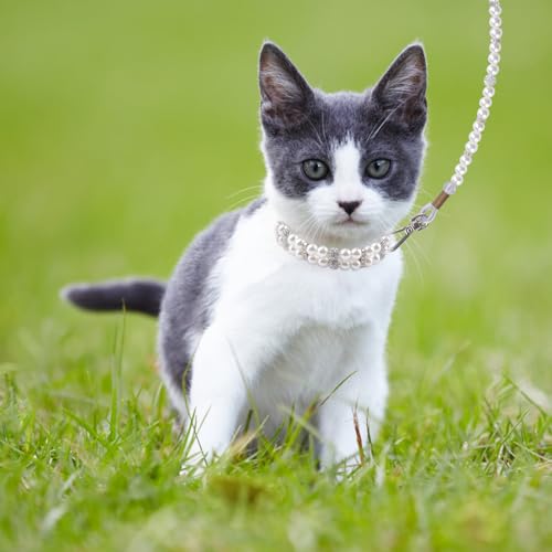 HACRAHO Pearl Hundeleine und Halsband, 2 Stück, für Hunde und Katzen, mit Perlen, verstellbar, mit Strasssteinen für Hunde, Katzen, Welpen
