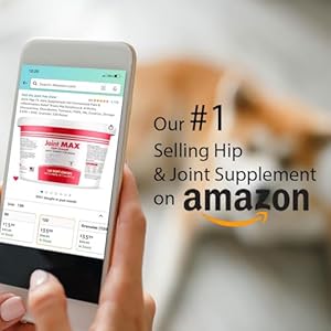 TS-Joint-Supplement-Vet-Formulated-Pain-Inflammation-Relief-Treats-Hip-Dysplasia-Arthritis-Glucosamine-Chondroitin-Turmeric-MSM-HA-Creatine-Omega-3-EPA-DHA120-Soft-Chews - Cucciolini Doodles   TS-Joint-Supplement-Vet-Formulated-Pain-Inflammation-Relief-Treats-Hip-Dysplasia-Arthritis-Glucosamine-Chondroitin-Turmeric-MSM-HA-Creatine-Omega-3-EPA-DHA120-Soft-Chews