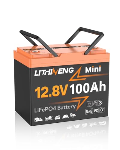 12V 100Ah LiFePO4 Lithium Battery with BMS