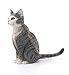 Schleich Farm World - Cat Figurine - Realistic Gray and White Cat Toy - Kitty Figure for Kids Ages 3+