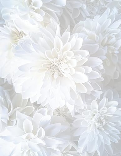 Papier de papeterie floral de mariage à pétales blanches en 50 feuilles