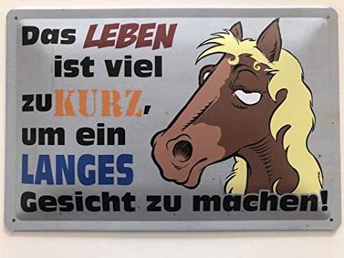Metall Schild 20x30cm Das Leben ist viel zu kurz Sprüche Blechschild