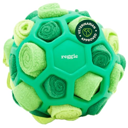 Reggie Forager Ball for Dogs | Interactive Treat Dispensing Dog Enrichment Toys | Reduces Boredom Stress & Hyperactivity | Snuffle Toys for Dogs | Durable & Washable Dog Puzzle Toy
