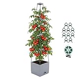 ENNUFO Tomatentopf mit Rankhilfe 145cm, Pflanzkasten mit Rankgitter, Pflanzkübel mit Wasserspeicher, Hochbeet für Tomaten, Gurken Rankhilfe, Outdoor Balkon Blumenkasten, Pflanzturm Kletterpflanzen