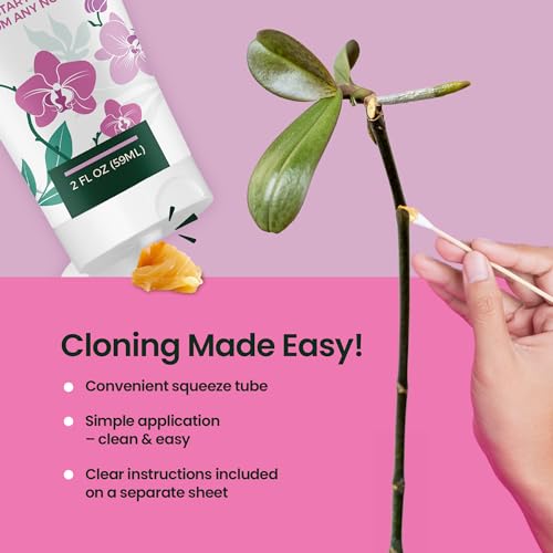 2oz Keiki Paste for Plants - Up to 150 Applications, Keiki Cloning Paste for Plants to Grow Orchids Baby Plant & New Blooms, Ideal for Orchids & Houseplants, Convenient Plant Cloning Formula