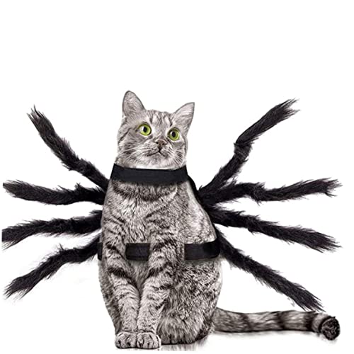 Disfraz araña para perros y gatos POPETPOP Halloween miniatura 2