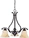 Nuvo Lighting 60/1401 Anastasia 3 Light Chandelier