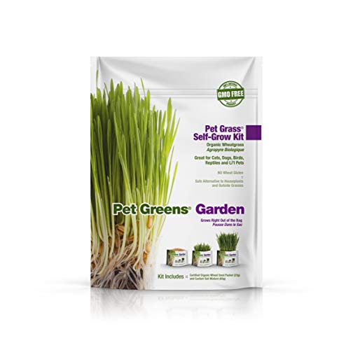 Bell Rock Growers Pet Greens Pet Grass Organic Wheatgrass Self Grow Kit, Contains