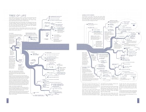 Image of Thing Explainer: Complicated Stuff in Simple Words