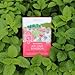 Four Elements 4E Joy, Love & Passion Tea, Blended deliciously with Lemon Balm, Passionflower, Roses, 100% Organic Herbal Caffeine-free Tea, 16 Teabags, 1.2 OZ