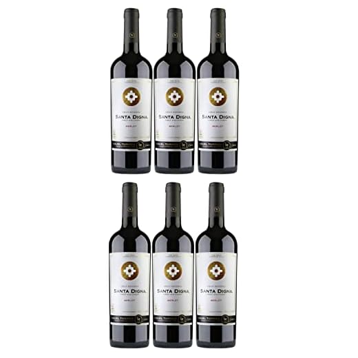 Miguel Torres Santa Digna Gran Reserva Merlot Rotwein Wein Trocken Chile I Versanel Paket (6 x 0,75l)