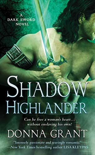 Shadow Highlander: A Dark Sword Novel view 2