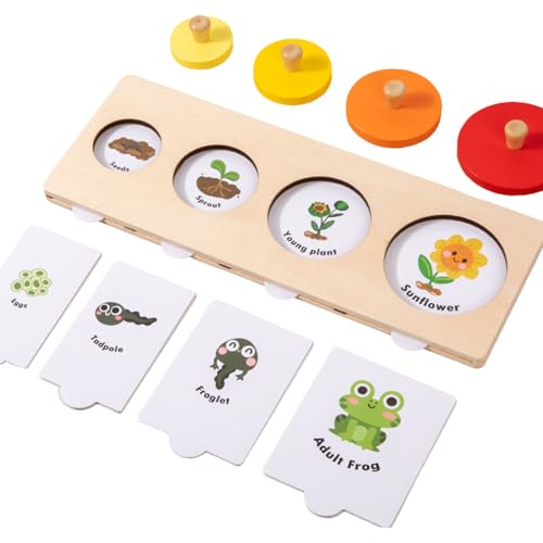 Jeu d'appariement pour enfant en bois, le cadeau d'anniversaire idéal