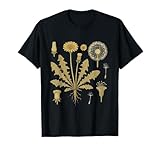 Dandelion Botanical Design