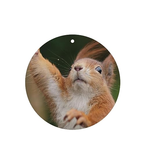 ʔXԗpF p[\iCYꂽXCX J[A}Zs[^ubg ݂艺F܃J[h [vt 4 ԂƂ̑p