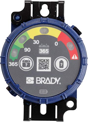 Brady® Inspection Timer with LED Lights 365 Days Pack of 10 Each
