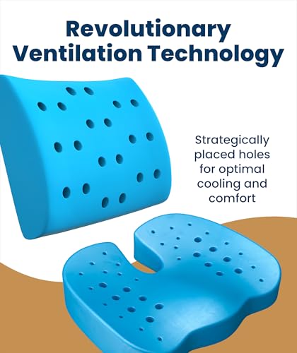 Image of Everlasting Comfort Doctor Recommended Memory Foam Seat Cushion for Office Chairs & Car - Ergonomic Office Desk Accessories - Cushions for Tailbone Pain Relief, Sciatica (Black Airflow Lumbar, Large)