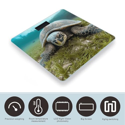 Báscula digital de baño Big Tortoise alta precisión miniatura 3