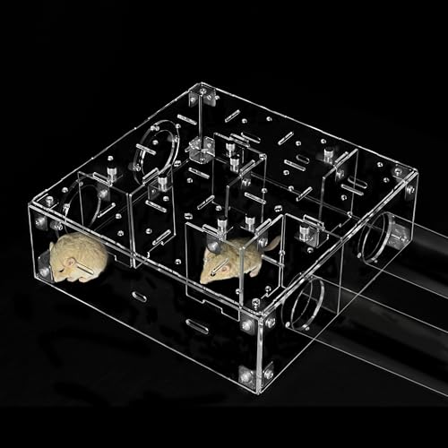 GuineaLoft™ Small Pet Maze V2 – Innovative Maze for Hamsters, Rats, Mice, Gerbils, and Other Small Rodents, Easy to Build, Fits Inside a Cage or Works Standalone, Connectable