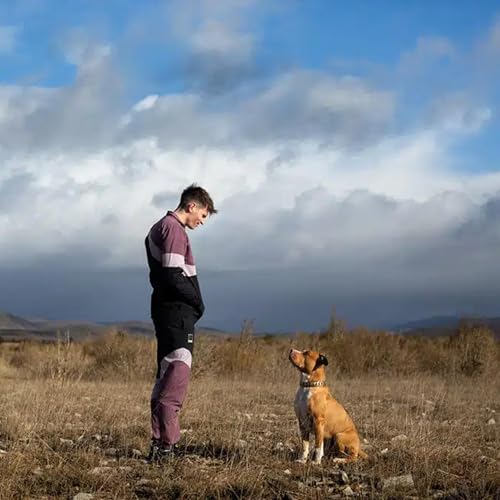 48 Chien de la Casse