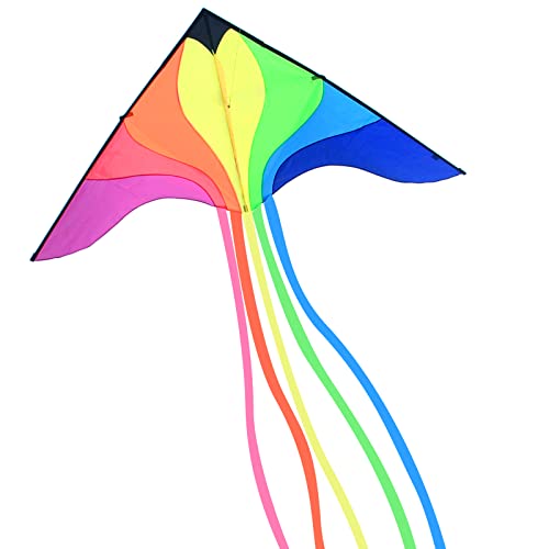 Baitekites Large Phoenix Kite For Kids And Adults，Beach Kites For Adults Outdoor Toys Games And Activities Kites Single Line Kite With Flying Tools And Professional Safety Gloves #TOP27