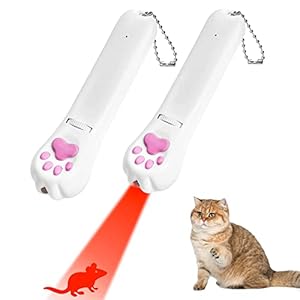 Interaktive Katzenspielzeug, einstellbares und wiederaufladbares Katzenspielzeug mit 6 Muster, Katzen-Chase-Spielzeug (2PCS, rot)