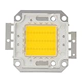 Brandneu und hochwertig! High Power 30W LED Chip Birne Licht Lampe DIY Warmweiß 2200LM 3000K