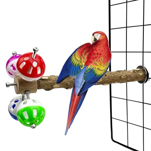 FlidRunest Natural Pepper Bird Stand Perch with Rotating Balls Puzzle for Cage Birds - Boredom Reducing Toys for Parakeets, Parrots, Cockatiels, Conures, Budgies